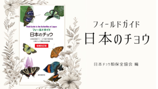 『日本のチョウ』日本で出会う蝶の全てをフィールド写真で見分けられる本