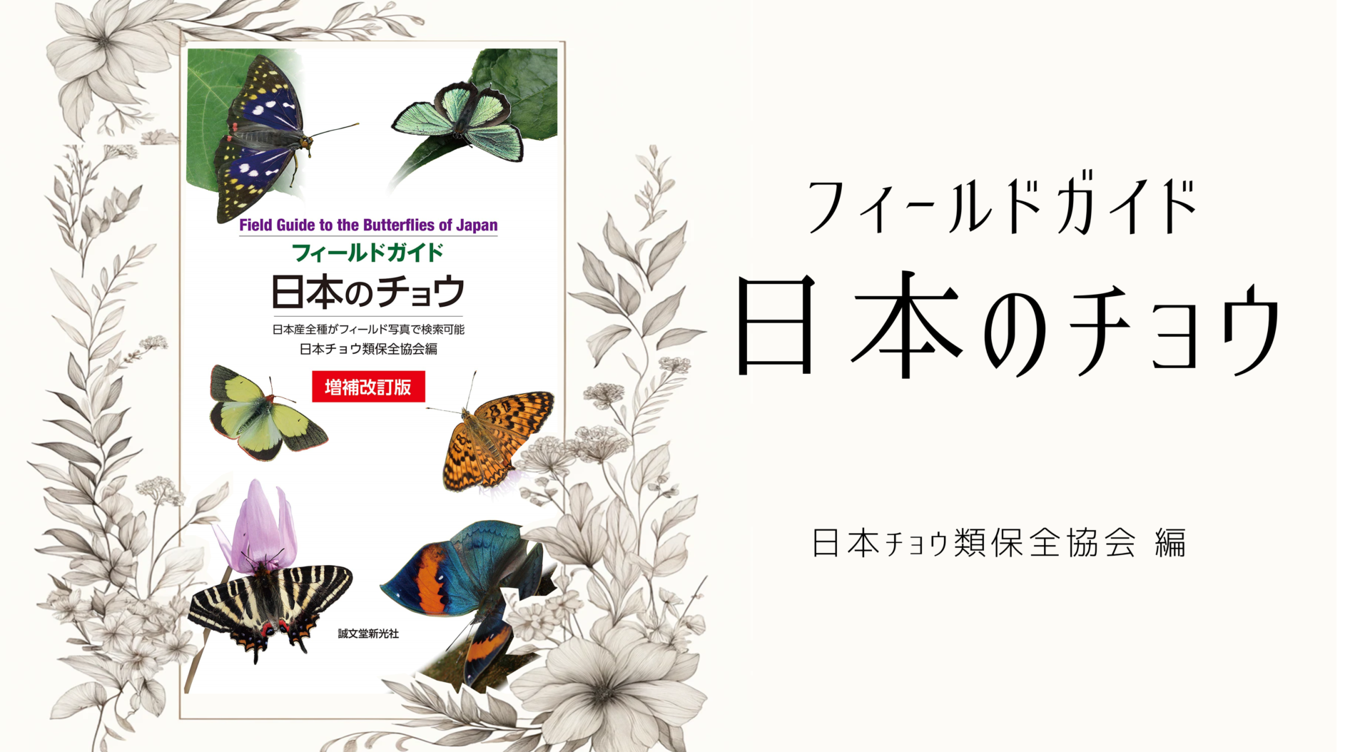 『日本のチョウ』日本で出会う蝶の全てをフィールド写真で見分けられる本
