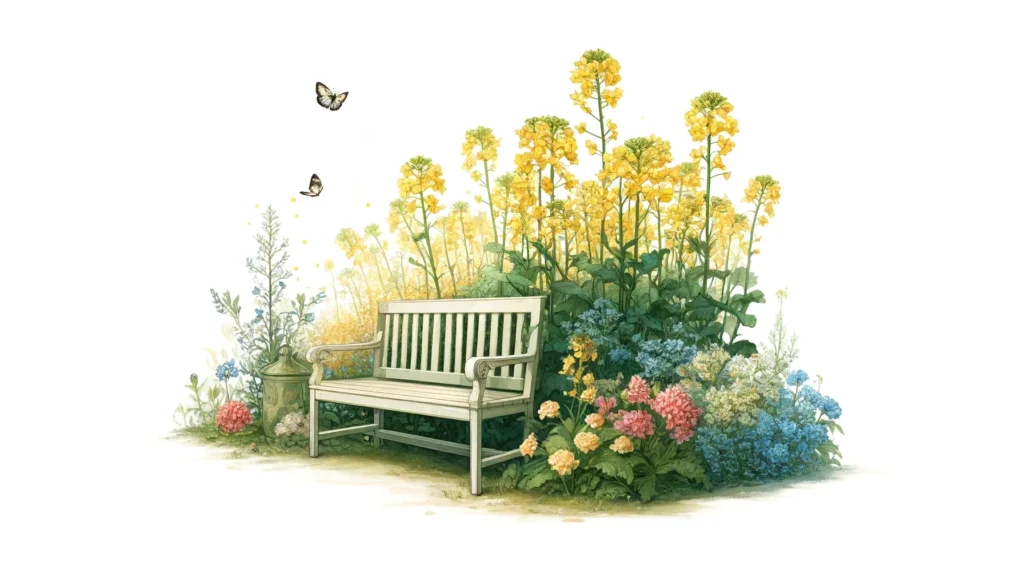 ガーデンベンチと菜の花